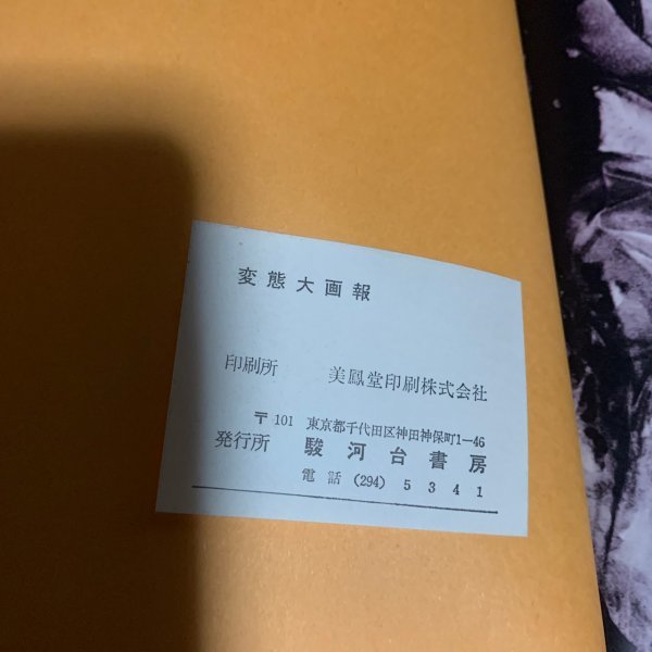 団鬼六 変態大画報 種村季弘 駿河台書房 希少本 緊縛 ☆