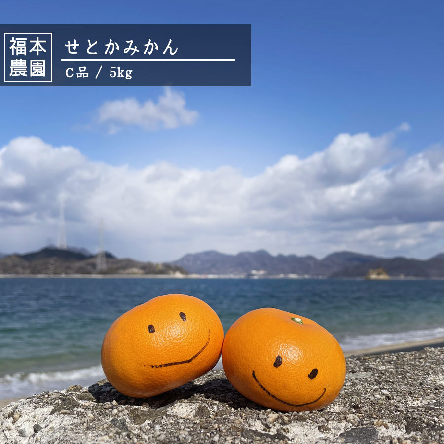 愛媛県産　せとかみかん　訳アリC品　ご家庭用　5kg　農家直送　送料無料　大三島　福本農園　みかん　露地　えひめみかん