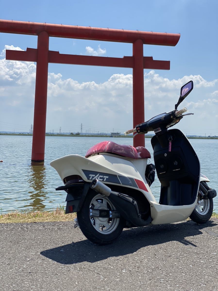 クレージュタクト/スーパータクト用ジャストフィットリアハネ クレージュタクト/スーパータクト用ジャストフィットリアハネ 【公式通販】