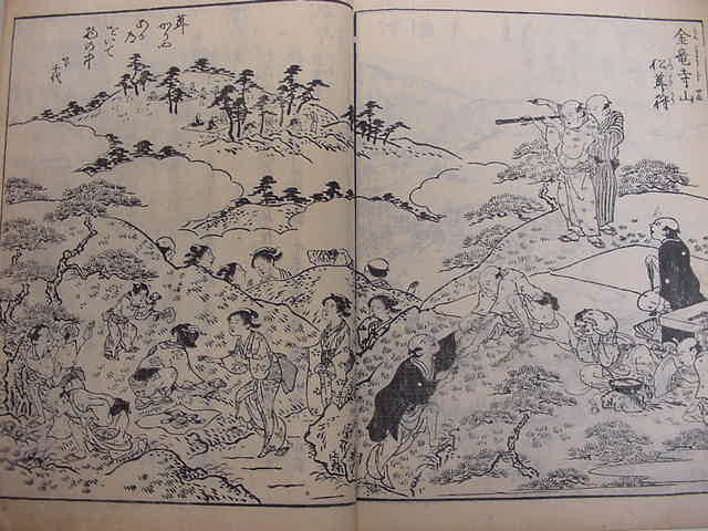 江戸時代の大阪吹田高槻茨木富田 摂津名所図会 1冊 江戸寛政10年版