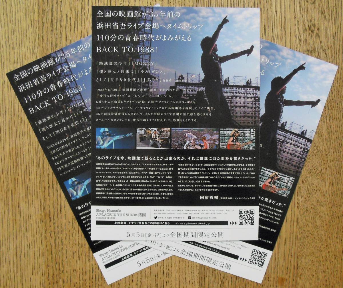 即決『SHOGO HAMADA 浜田省吾 A PLACE IN THE SUN at 渚園 Summer of 