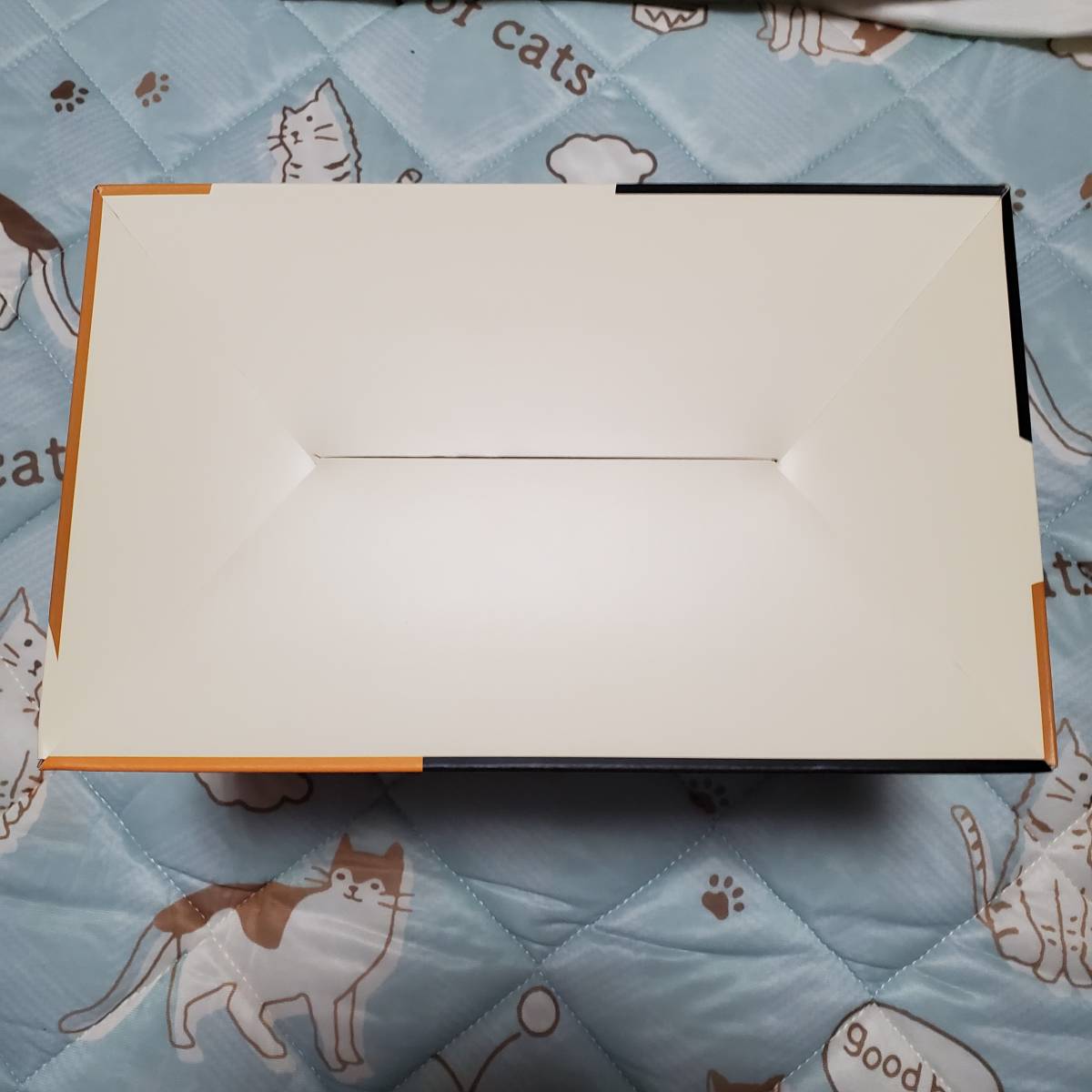 期間限定出品】【特典付き】へんりいだ氏 オリジナルイラスト 猫カフェ
