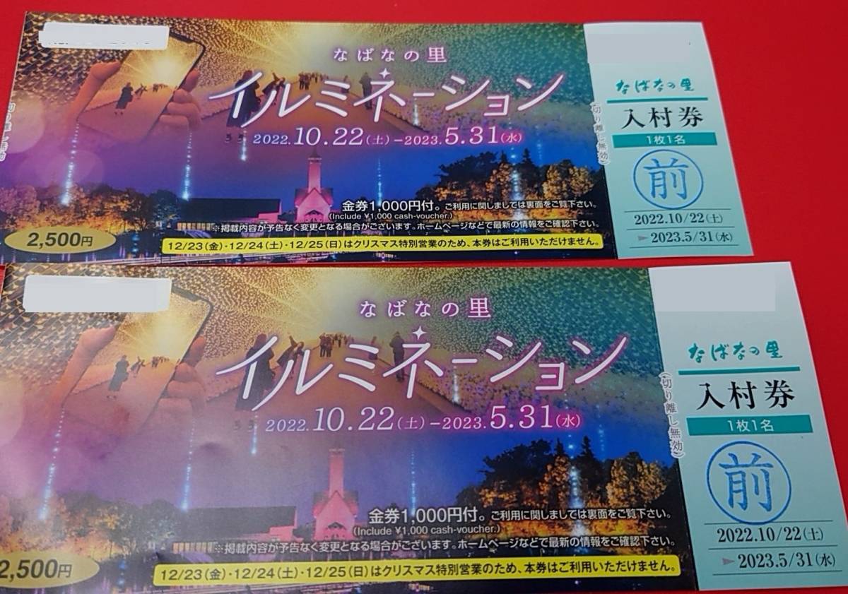 なばなの里 大人 入村券 2枚セット 500円分金券4枚付 イルミネーション 長島　ナガシマ