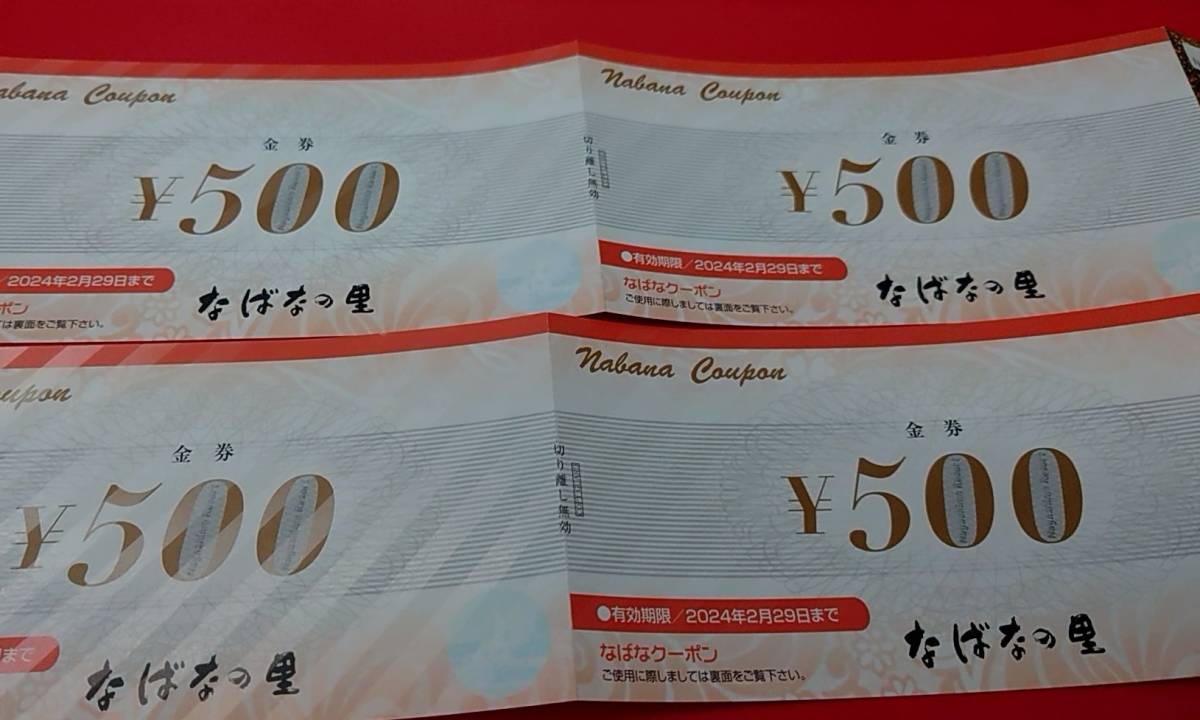 なばなの里 大人 入村券 2枚セット 500円分金券4枚付 イルミネーション 長島　ナガシマ