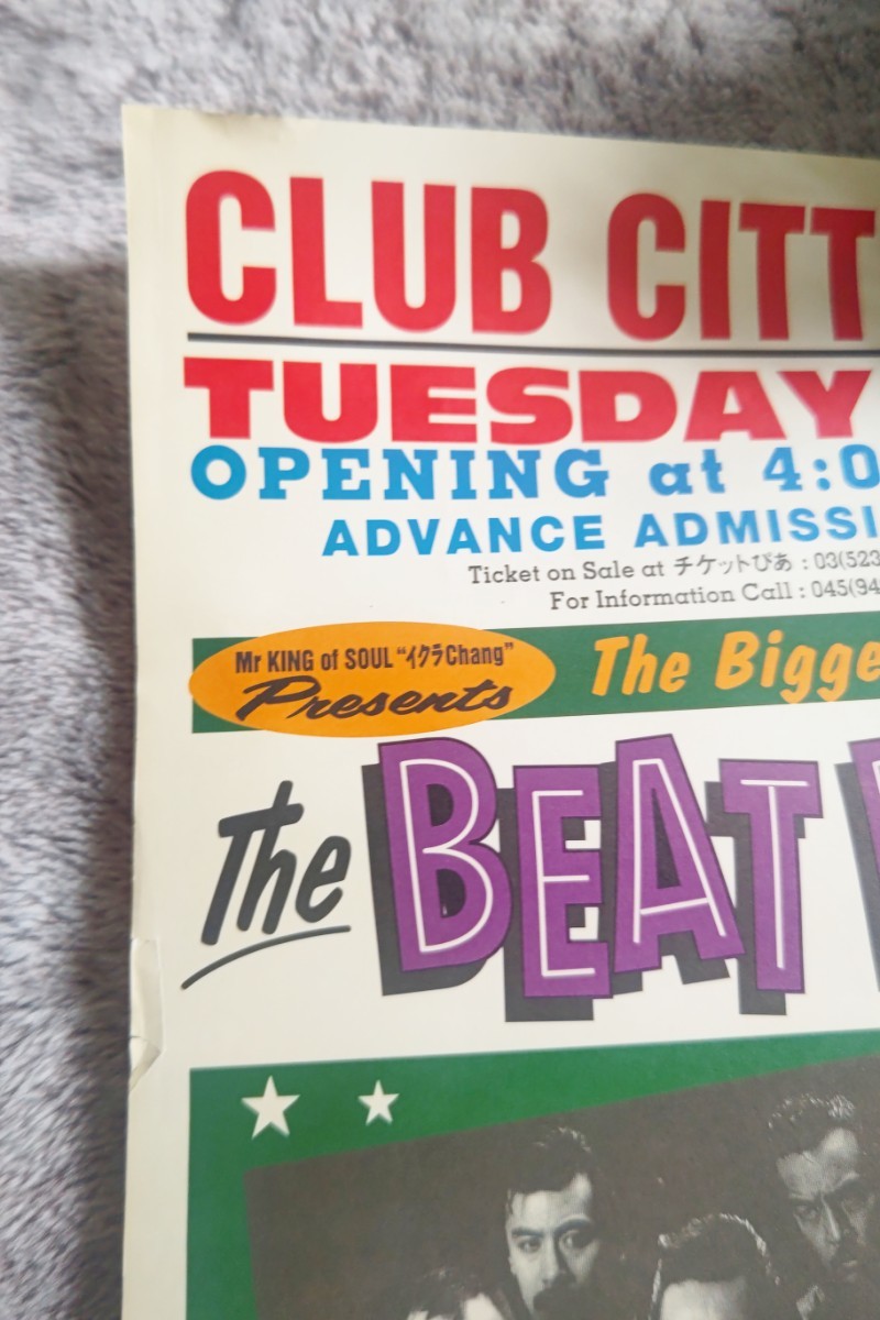 送料無料CLUBCITTA KAWASAKI 『BEAT POP SHOW』ポスター COOLS