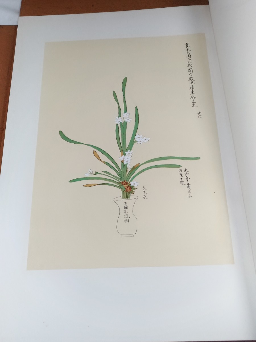 立花 池坊専好 池坊専好 講談社 昭和45年5月20日 ☆立花⁄華道⁄池坊専好