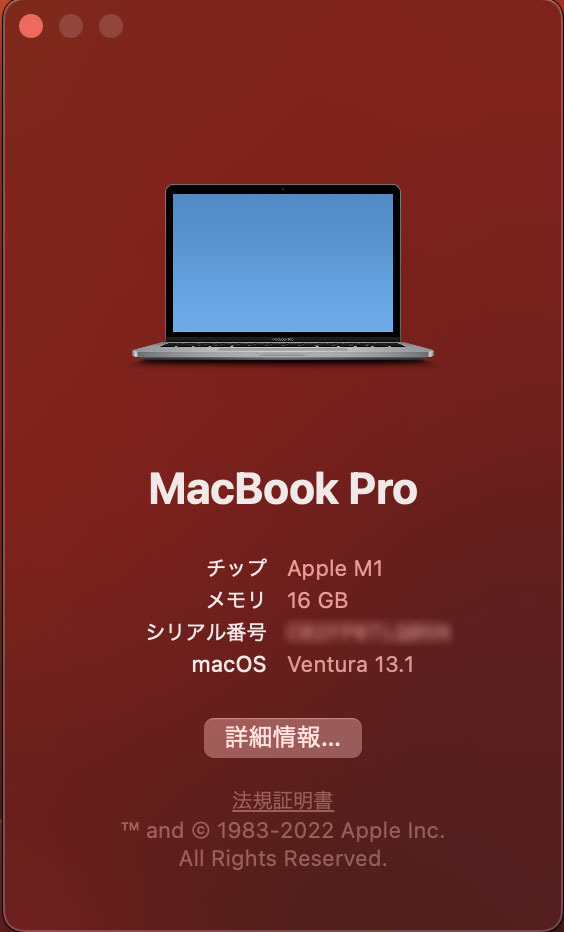 MacBook Pro M1 2020 16GB 1TB USキーボード Pro M1 MacBook 13.3