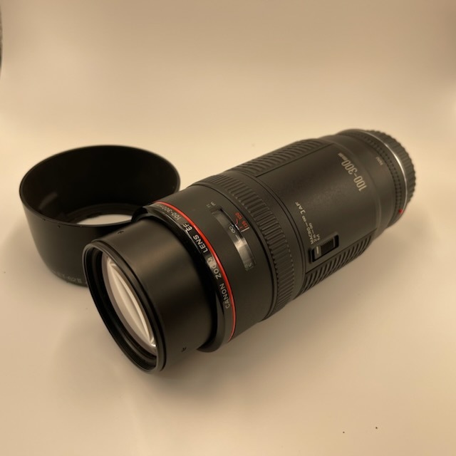G-8】Canon キャノン レンズ CANON ZOOM LENS EF 100-300mm 1:5.6 L