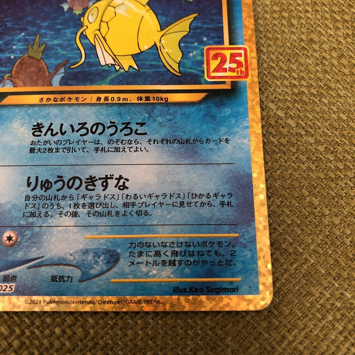 売り物 ひかるコイキング 25th PSA10 【公式通販】