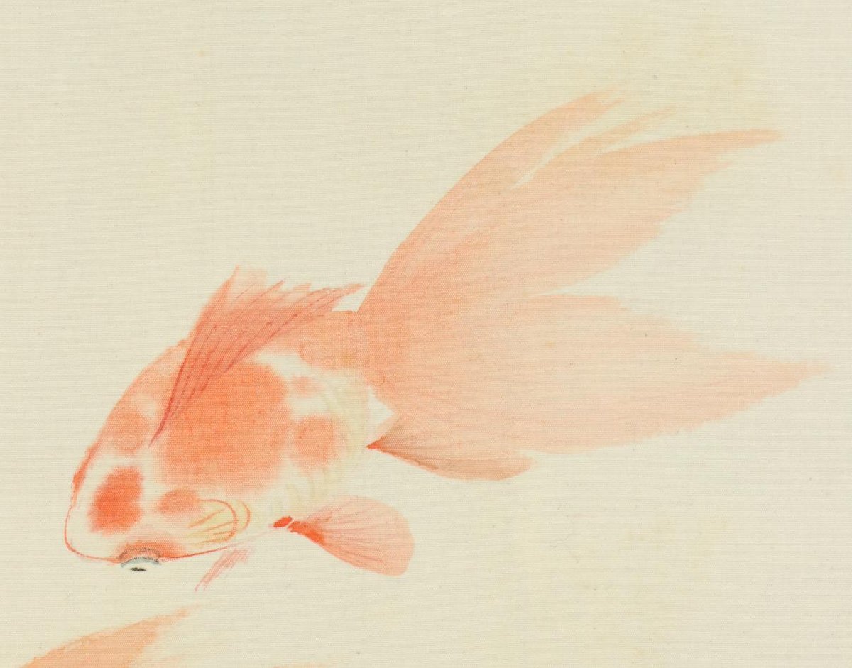 静雲 金魚図 絹本 肉筆 掛軸 日本画 148 静雲 金魚図 絹本 肉筆 掛軸 日本画 148 静雲 金魚図 絹本 肉筆 掛軸