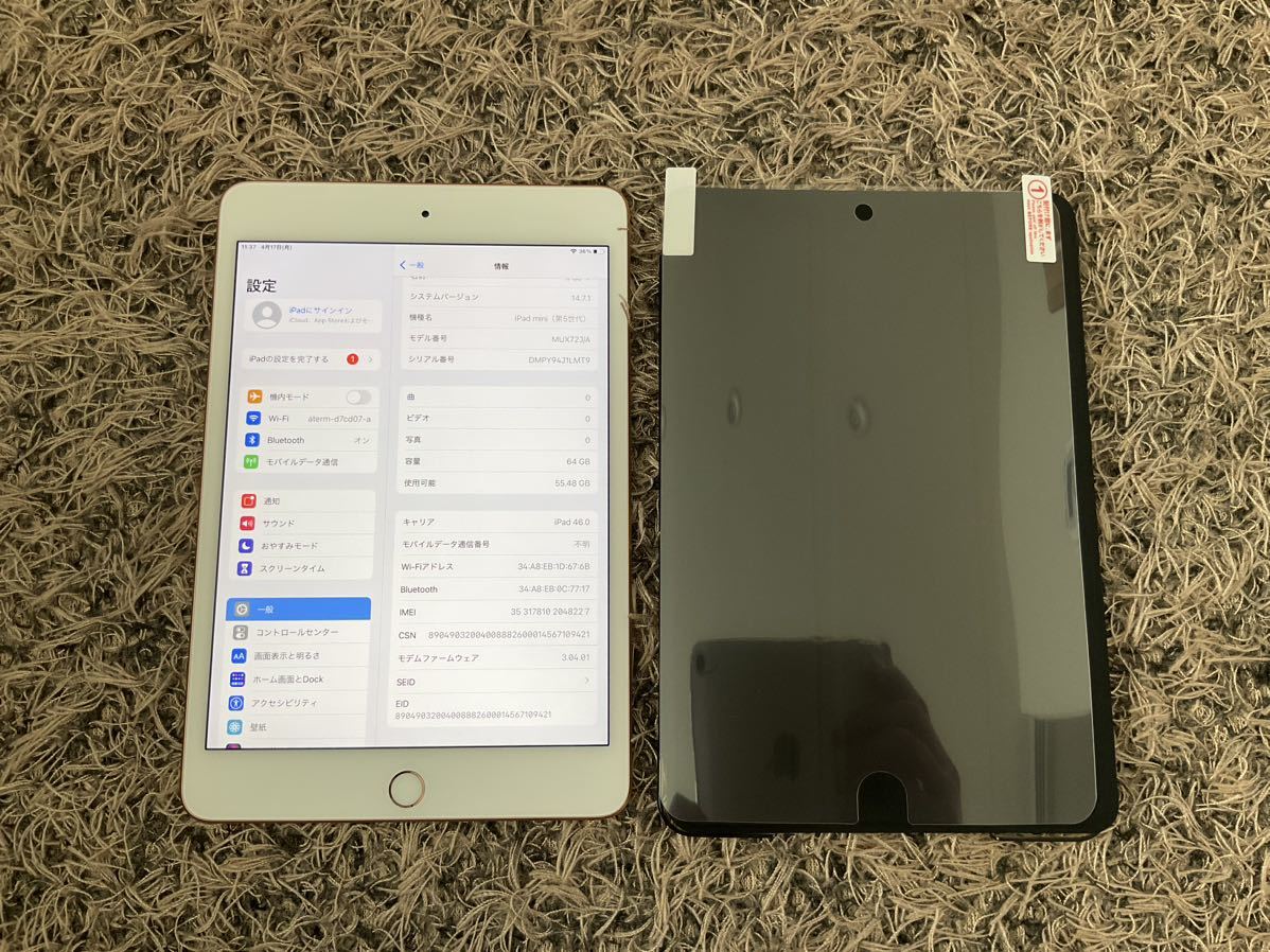 SIMフリー】iPad mini5 Wi-Fi＋セルラー 64GB 極美品 iPad mini5 Wi-Fi+