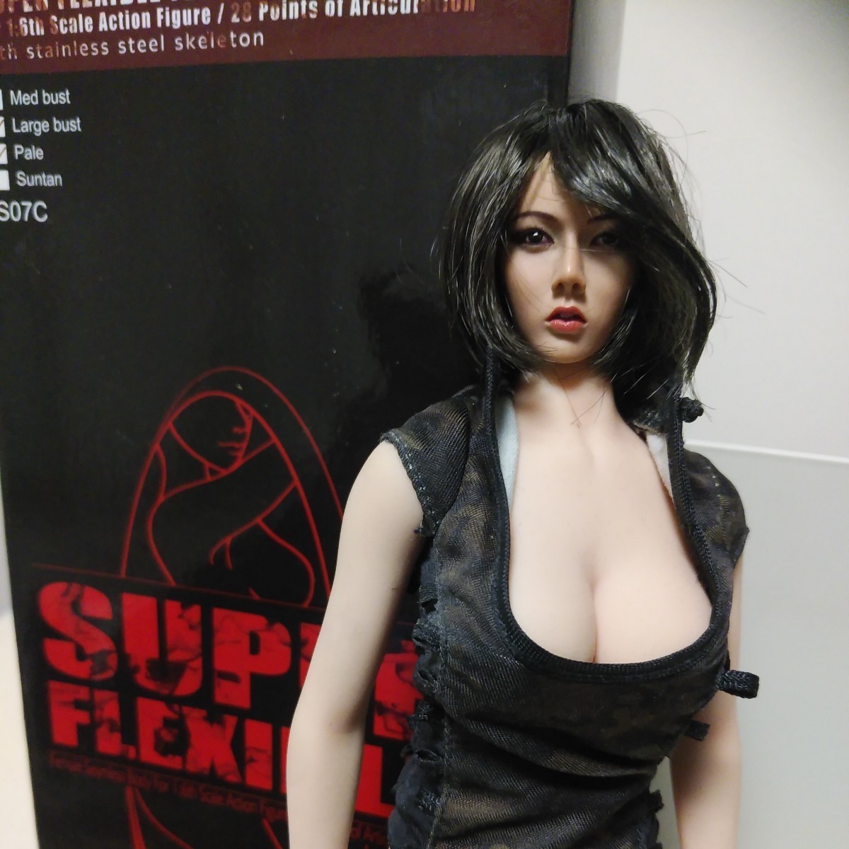 中古1/6sizeファイセンTBleague製シームレスアクションフィギュア素体