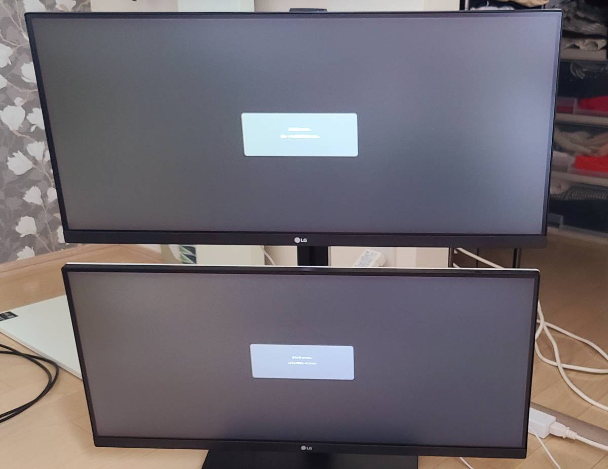 LG ディスプレイ モニター 29WN600-W 29インチ⁄ウルトラワイド(2560 