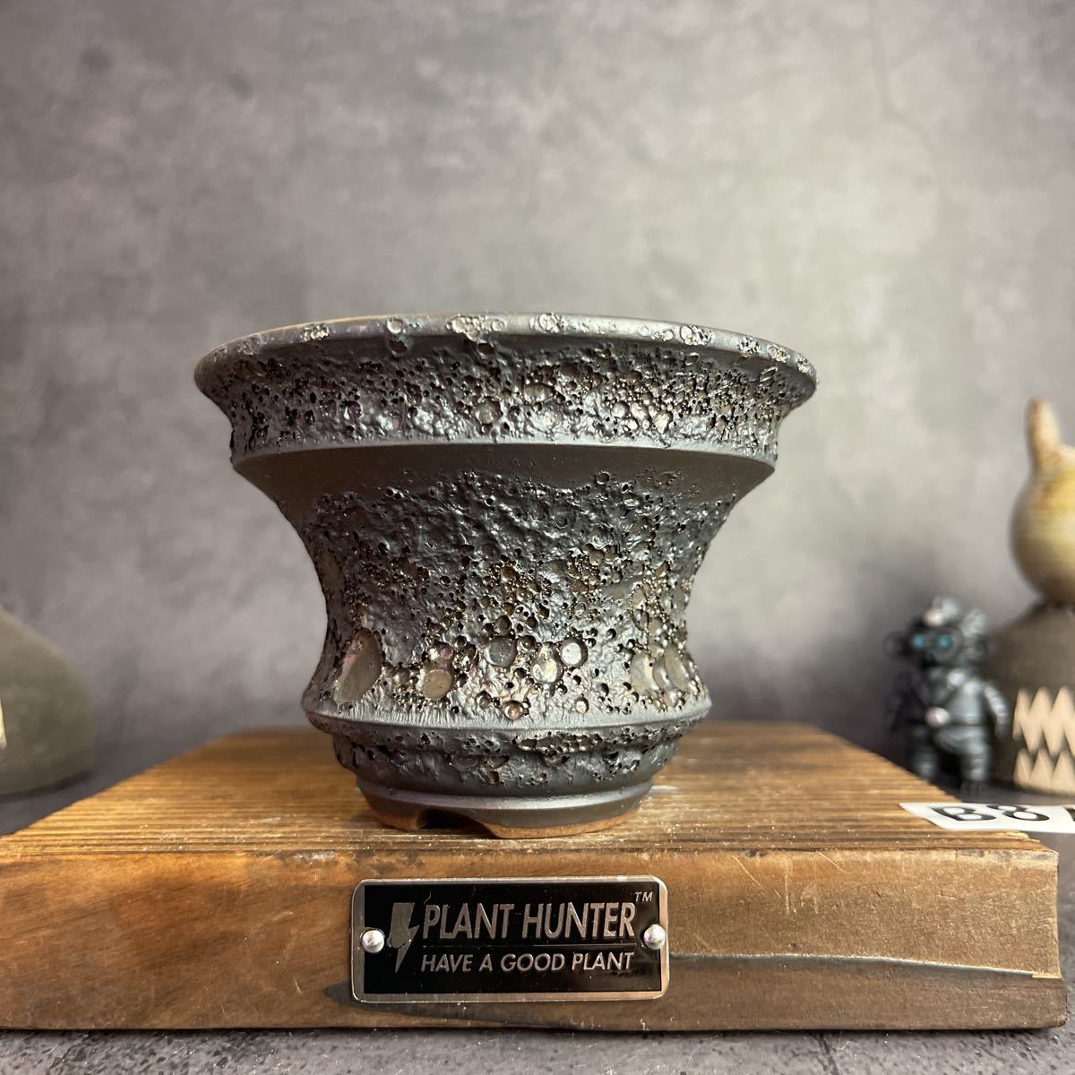 ぽ977 Mサイズ 植木鉢 陶器 検（塊根植物 アガベ パキプス invisible