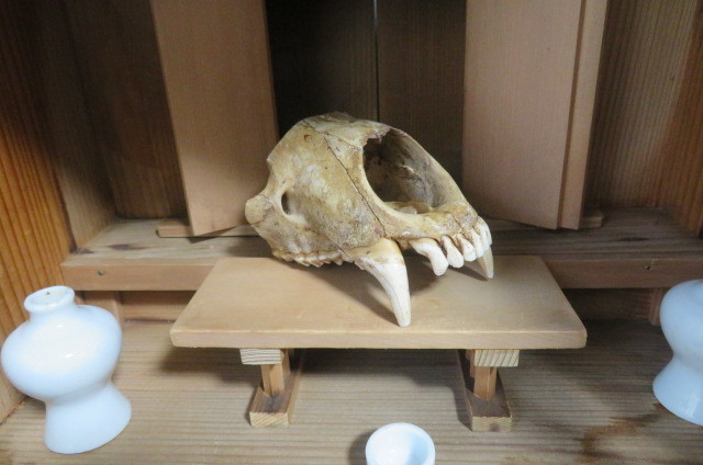 ☆　大神信仰 ☆ 修験道者宅・神棚　厨子　猟師・マタギ　☆牙御守　祀り