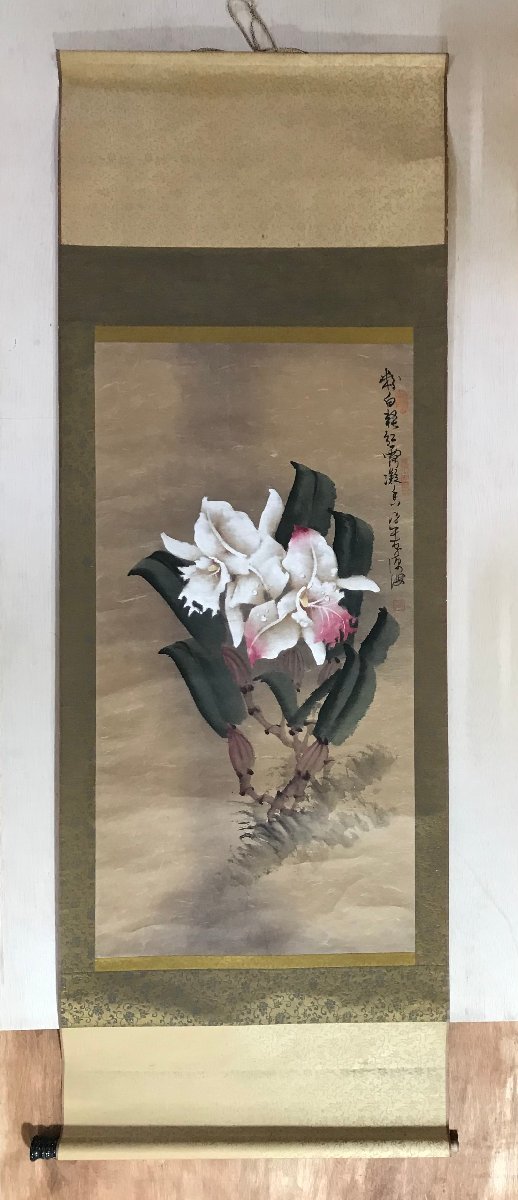 中国美術 掛軸 猛虎図 肉筆絵画 真作 年代不明 箱付 BP-493 □