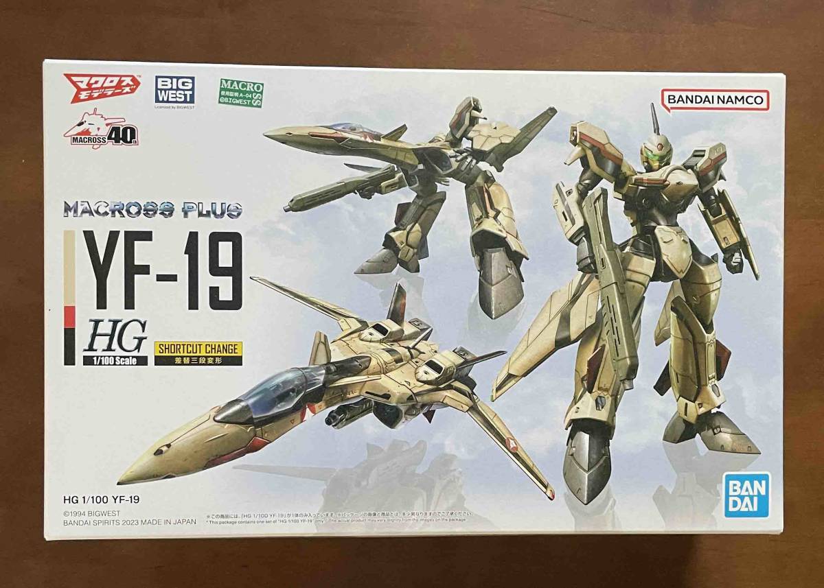 HG 1/100 YF-19 専用水転写式デカール マクロスプラス MACROSS PLUS YF-19