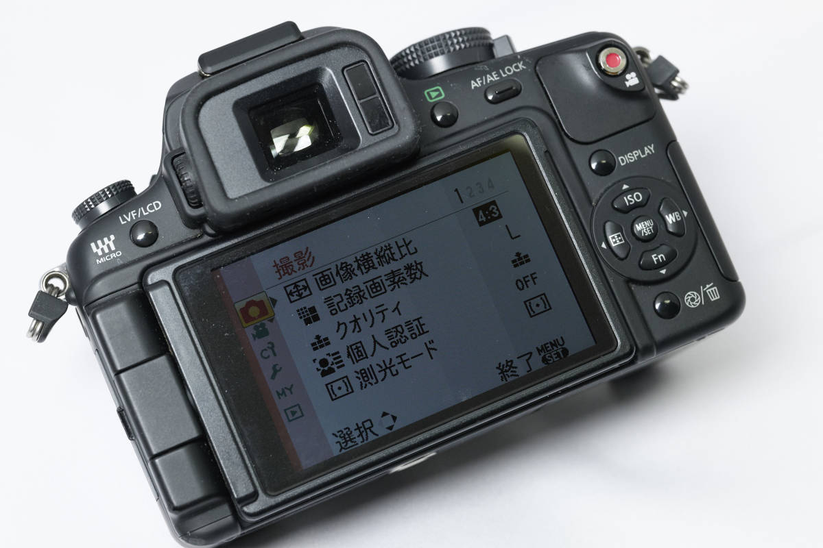 Panasonic LUMIX GH1 (DMC-GH1) 【公式通販】