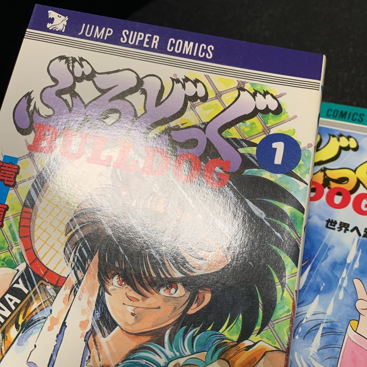 ぶるどっぐ Bulldog 全巻 全2巻 全初版 滝直毅 双葉たかし ジャンプ  