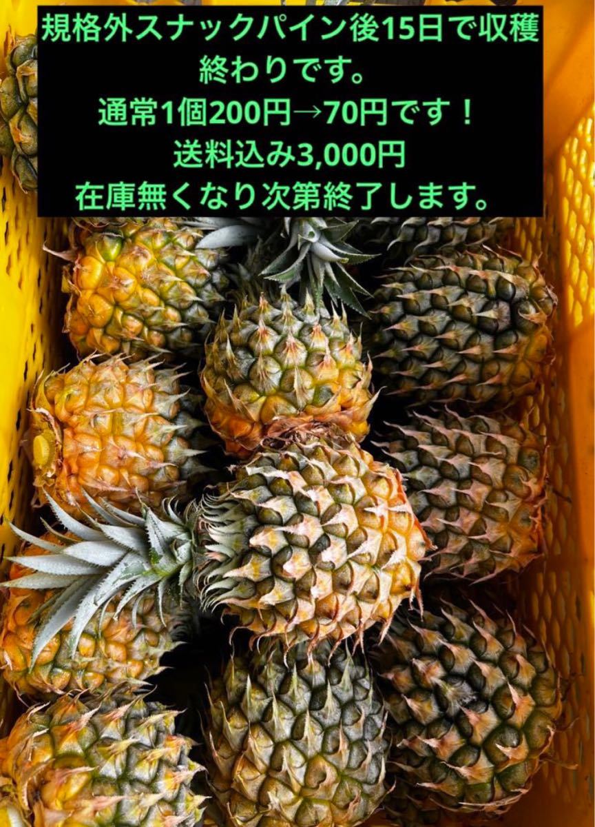 沖縄県石垣島産規格外スナックパイン20個入り　②