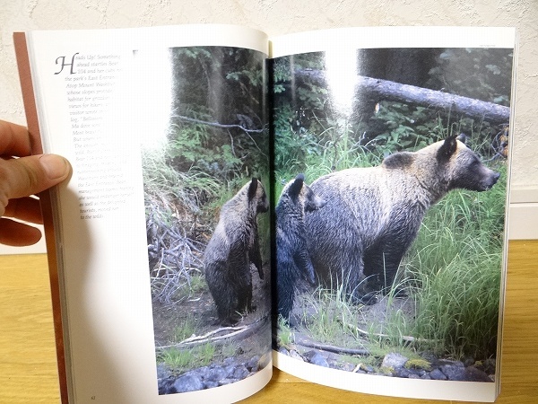 希少 ビンテージ 洋書 イエローストーン国立公園 YELLOWSTONE カラー