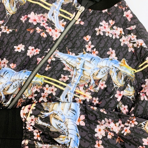 Dior HOMME 空山基 ディオール オム 19AW ダイナソー ボンバー 