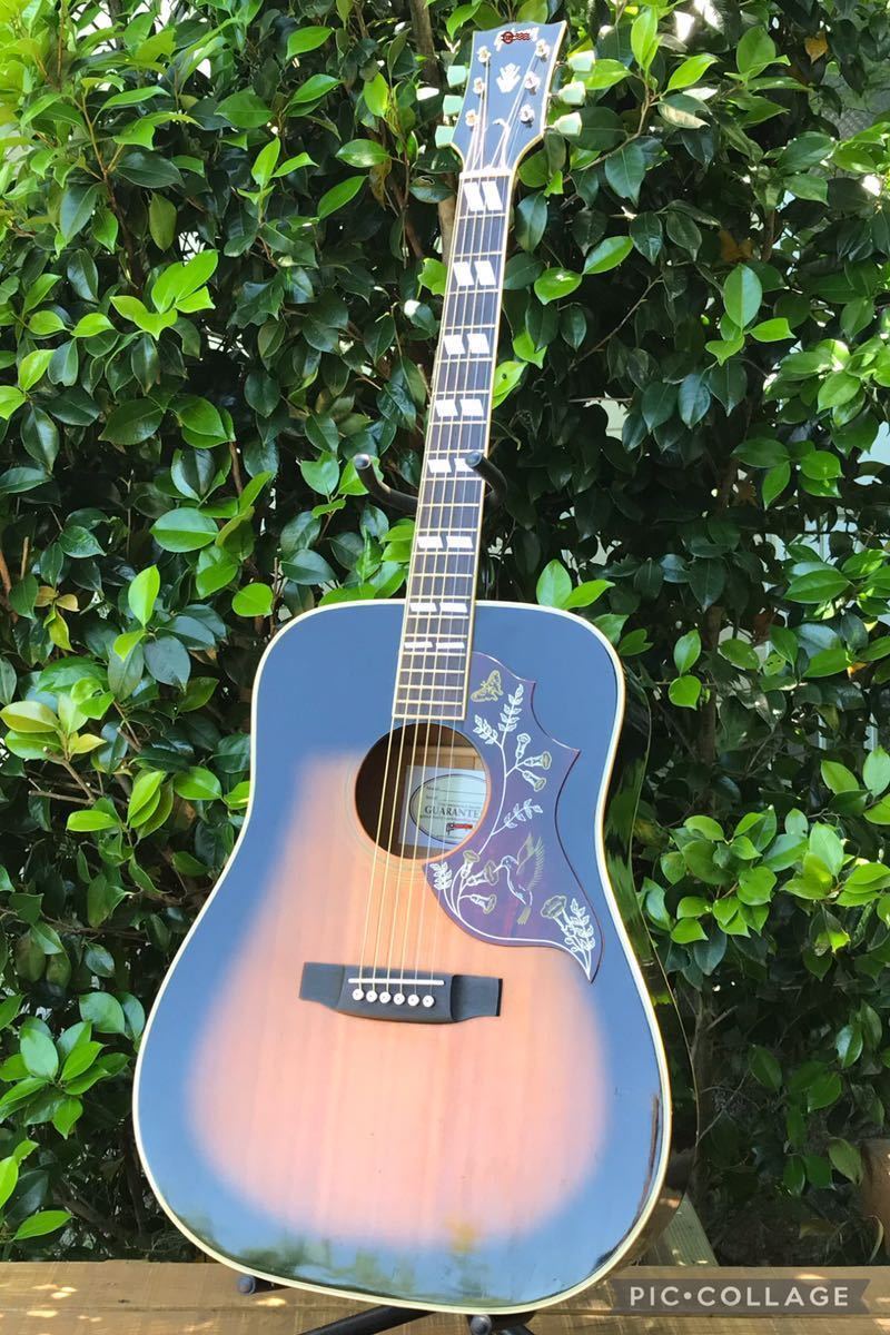 Hummingbird Gibson 難あり安間楽器 ギター ハミングバード ギブソン