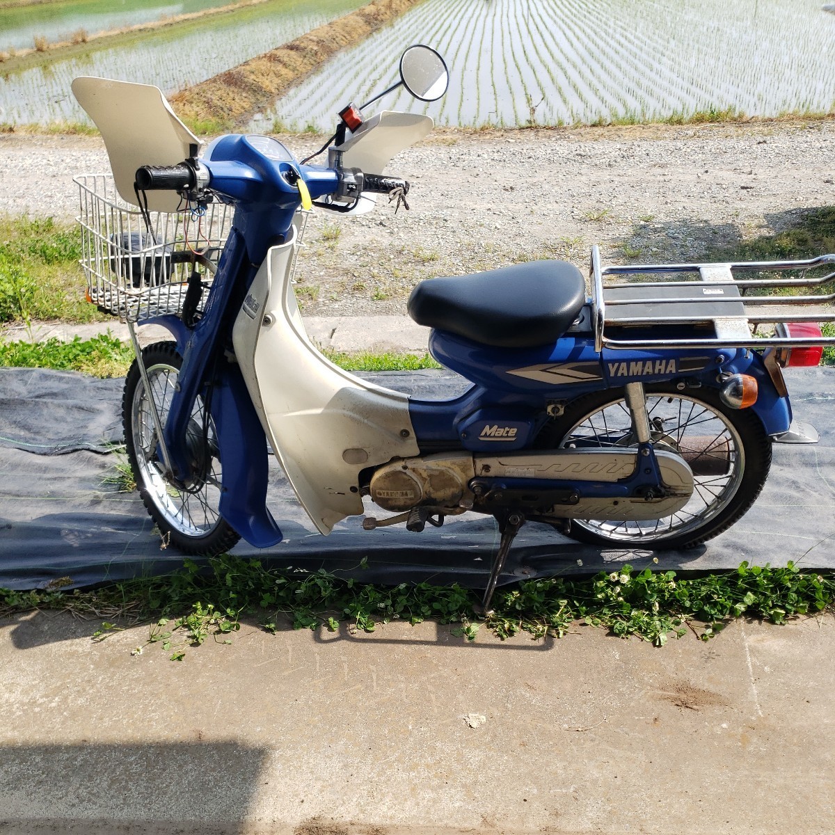 ヤマハ ヤマハ（YAMAHA） MATE ニュースメイト50 0 ニュースメイト 