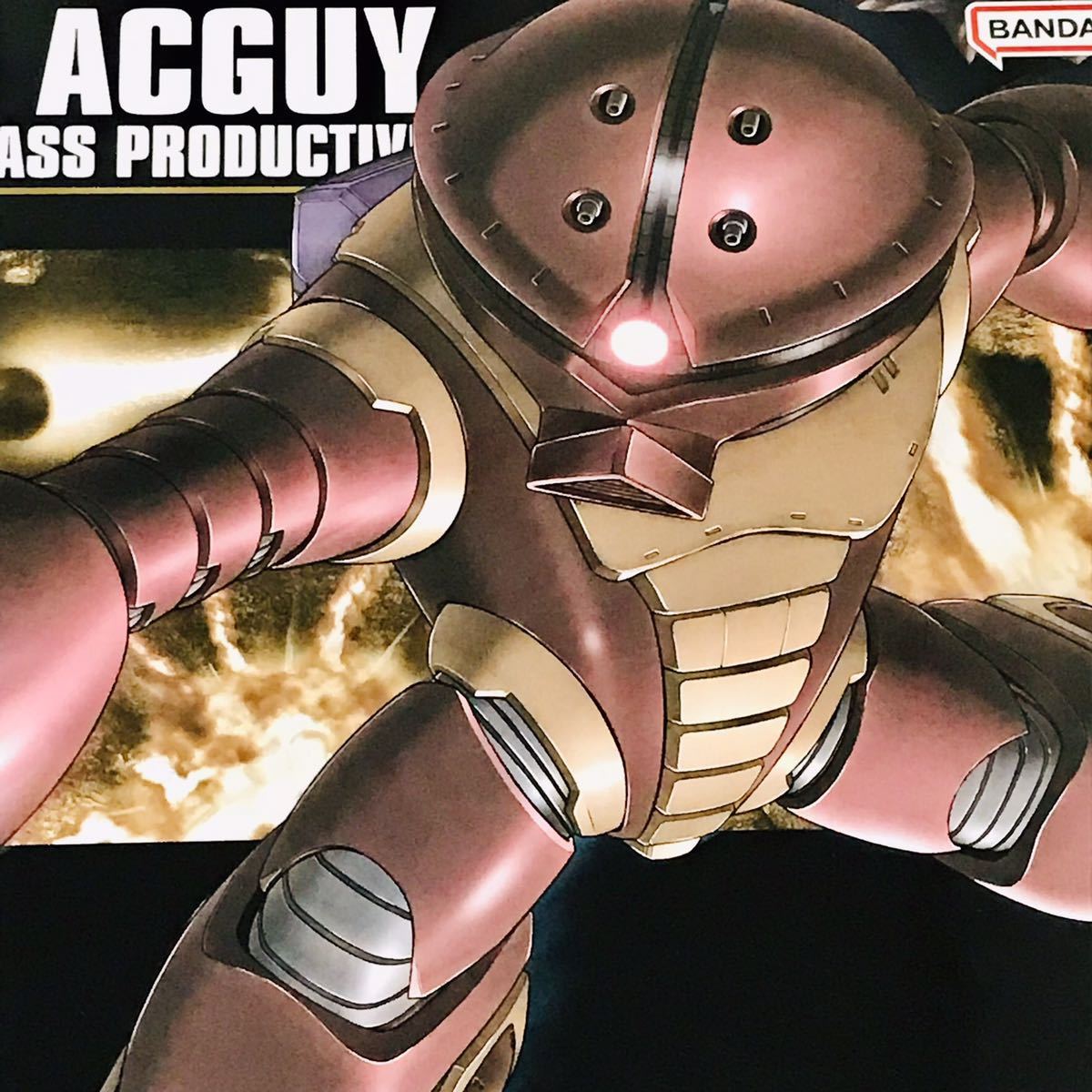 ☆売切☆HGズゴック&amp;ゴッグ&amp;アッガイ3点セット新品未組立再販