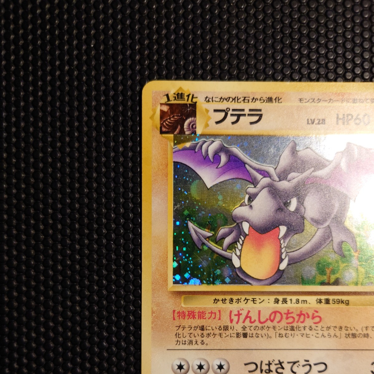 プテラ ☆ ポケモンカード PMCG 第3弾拡張パック 化石の秘密 No.142 Lv