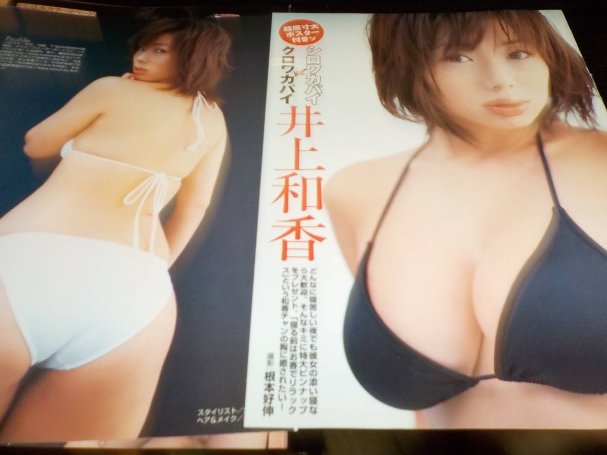 井上和香 切り抜き21ページ(アイドル、芸能人)｜売買された