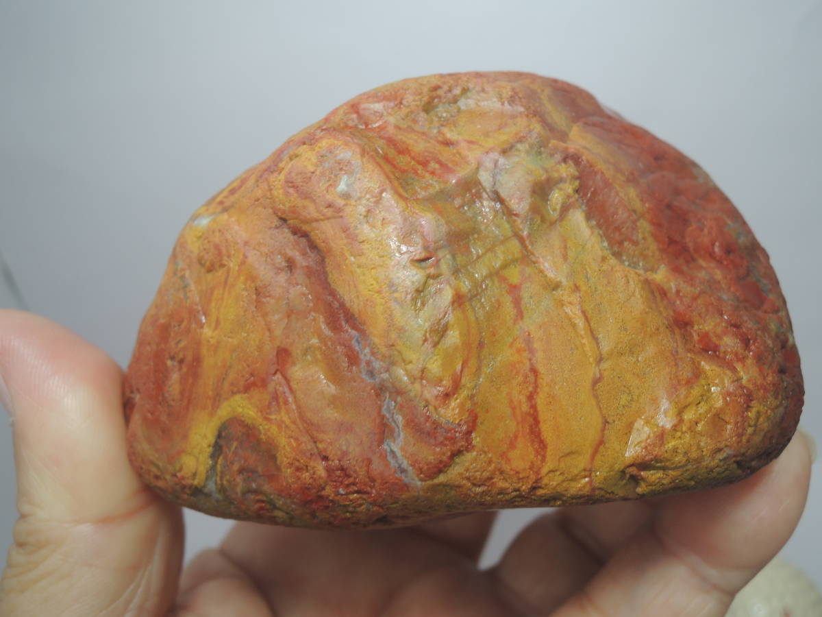 ONo742.国産鉱物 土岐石 赤地に黄の碧玉 ＊碧魚堂＊(原石)｜売買された