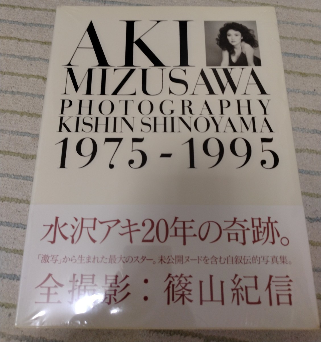 水沢 アキ ヌード