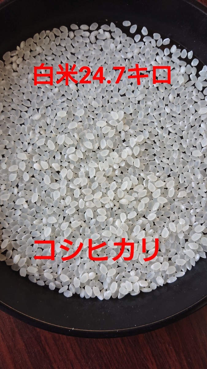茨城県産コシヒカリ白米25キロ(内容量24.7キロ) 【公式通販】