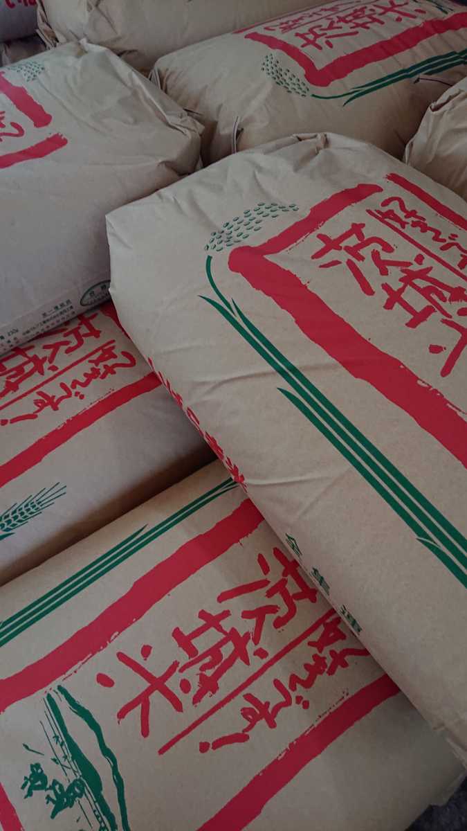茨城県産コシヒカリ白米25キロ(内容量24.7キロ) 【公式通販】