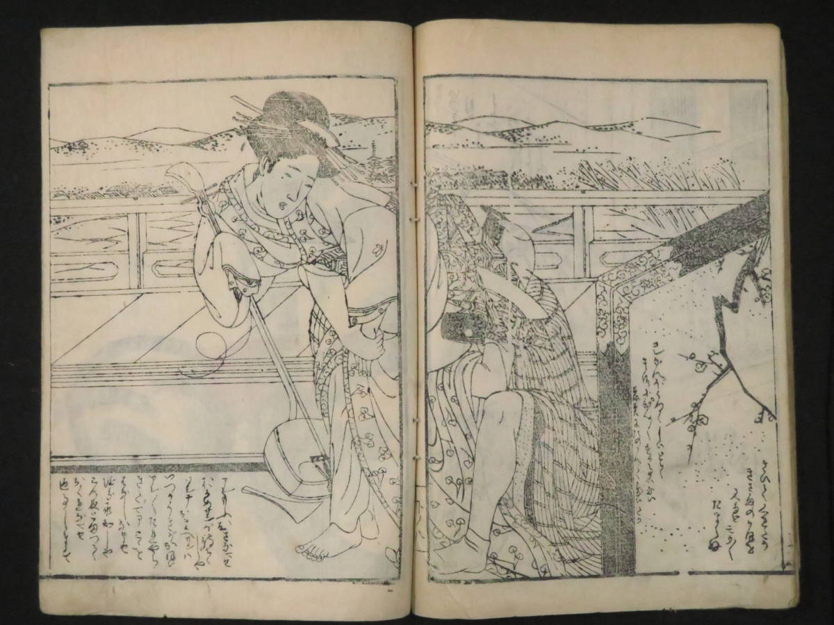 春画5『題不明』江戸時代 明治時代 和本 艶本 枕絵 危絵 検)浮世絵 