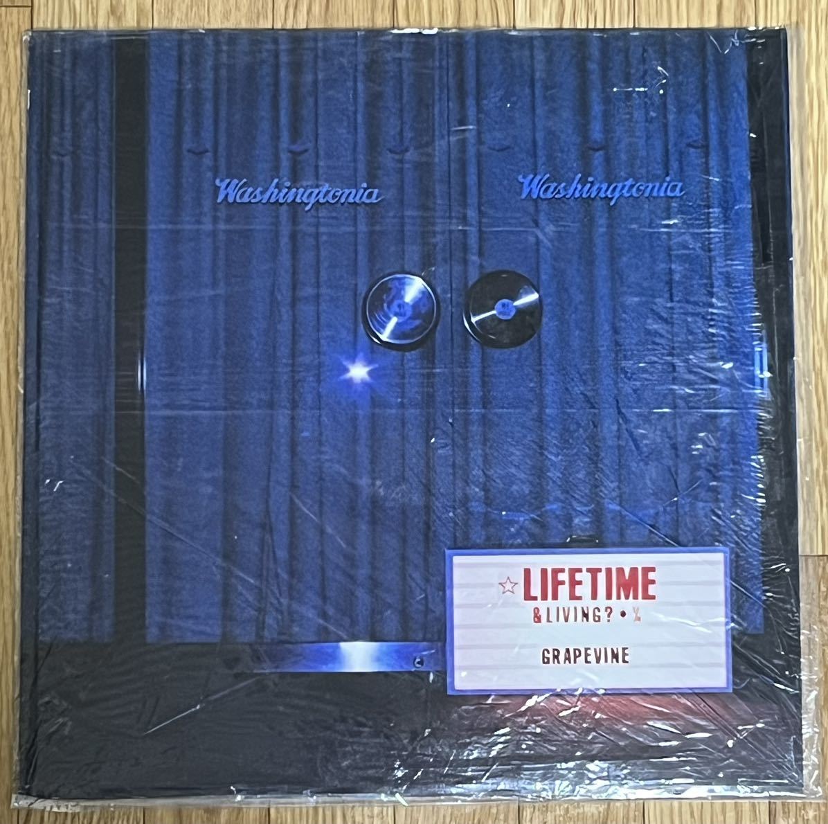 GRAPEVINE LIFE TIME レコード新品未使用 GRAPEVINE Lifetime ⁄ PCJA