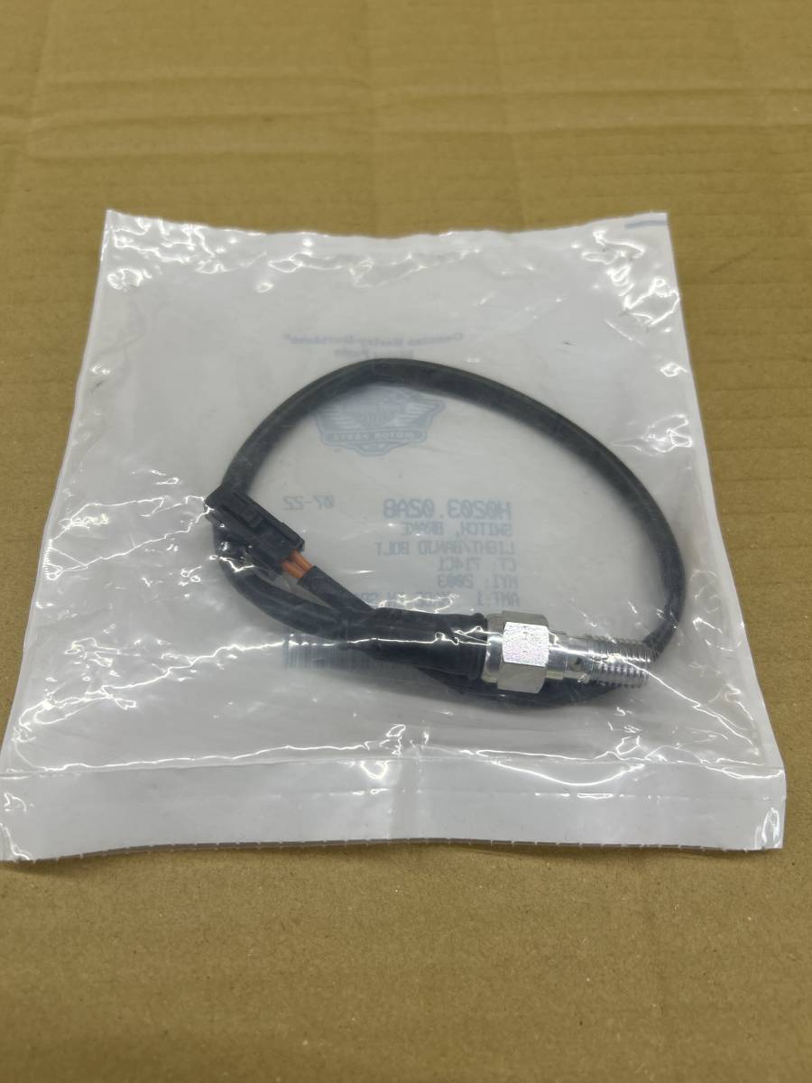 新品未使用　BUELL純正　リアブレーキスイッチ　Rブレーキ　点灯不良　車検対応　XB9 XB12 ファイヤーボルト　ライトニング