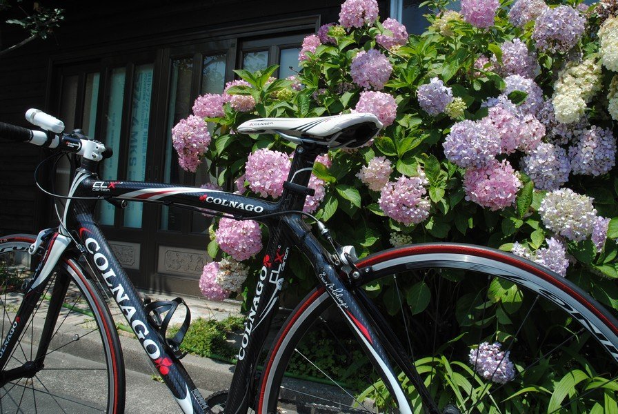 Colnago CLX 2.0 カーボンロードバイク COLNAGO コルナゴ CLX 2.0