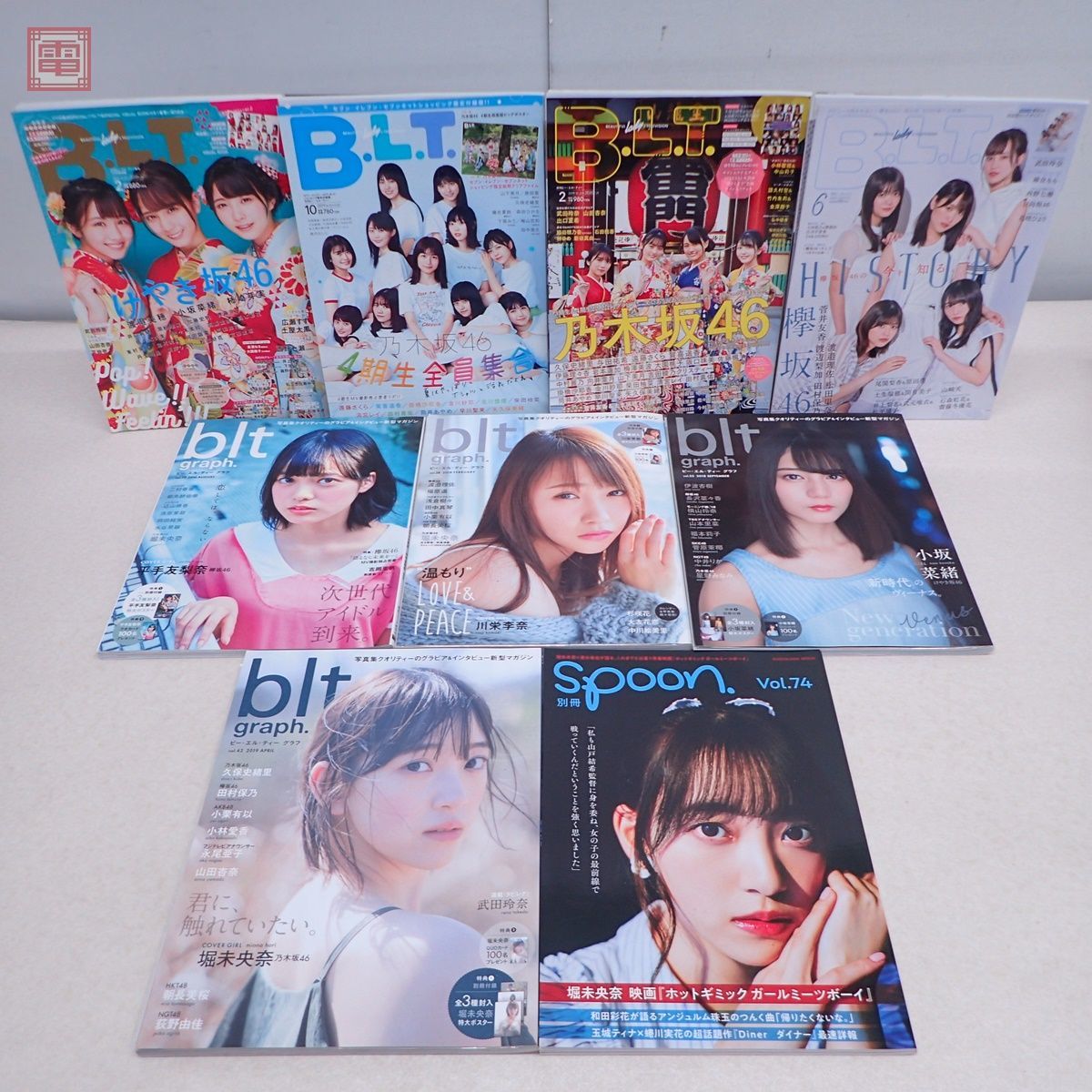 乃木坂46の写真集やパンフレットなどまとめ売り 26冊 バラ売り可 2026