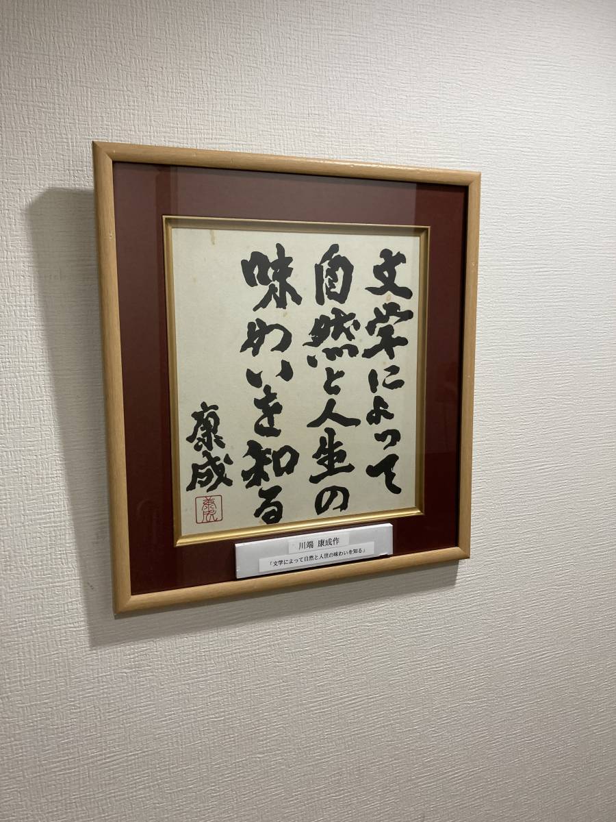 肉筆 操れる 額 川端康成 AKa6988