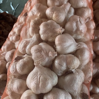 青森県にんにく10Kg ML バラ 青森県 にんにく10Kg 大 早い者勝ち 早い者勝ち 新物 青森県にんにく