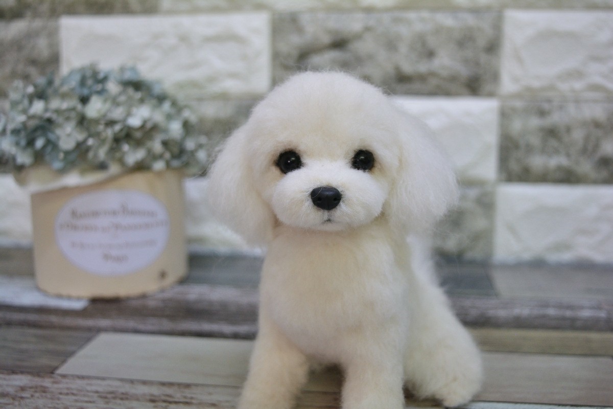 羊毛フェルト 犬のぬいぐるみ 約15cmマルチーズ 羊毛フェルト 犬のぬいぐるみ 約15cmマルチーズ
