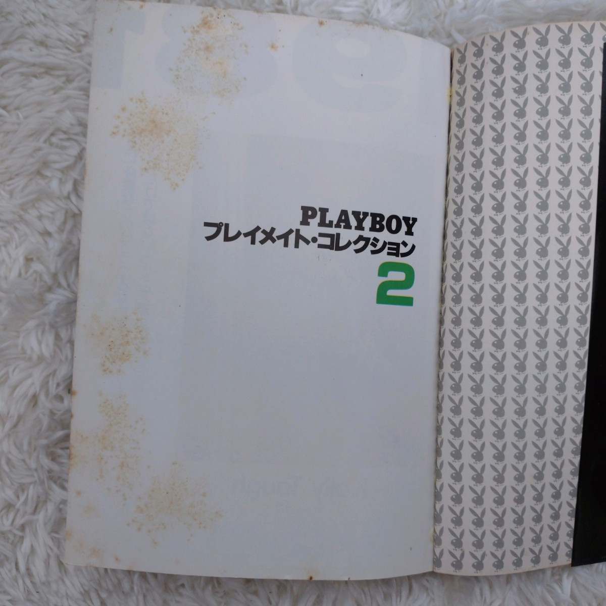 文庫版 PLAYBOY プレイメイト コレクション 2〜4巻 三冊セット まとめ 