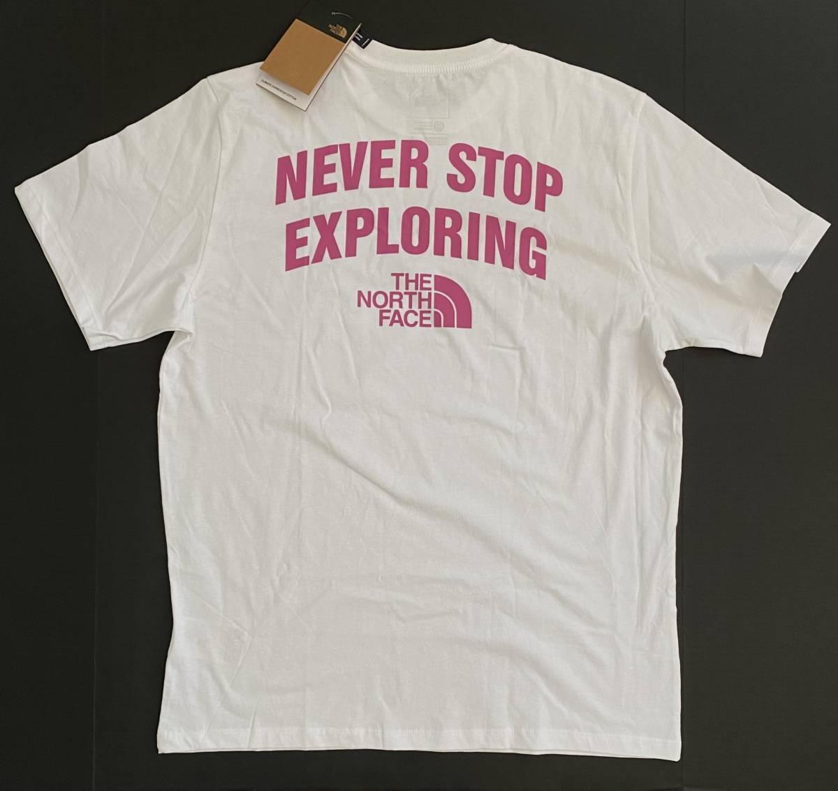 新品 THE NORTH FACE ノースフェイス NEVER STOP EXPLORING Tシャツ ホワイト (M) アメリカ直営店購入
