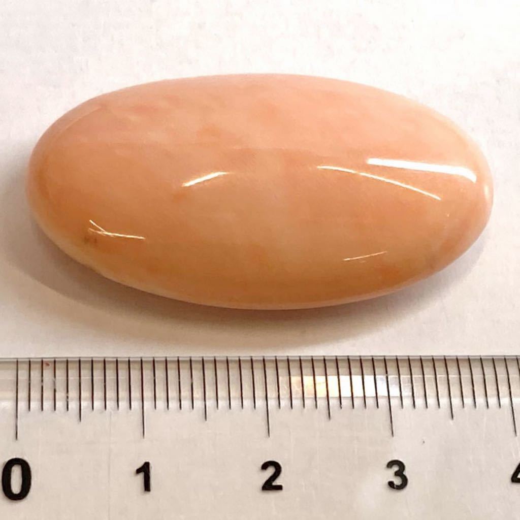 ［天然本珊瑚14.5g］T 72.5ct 39.1×22.0mm ルース 裸石 宝石 coral コーラル さんご カボション オーバル oval 