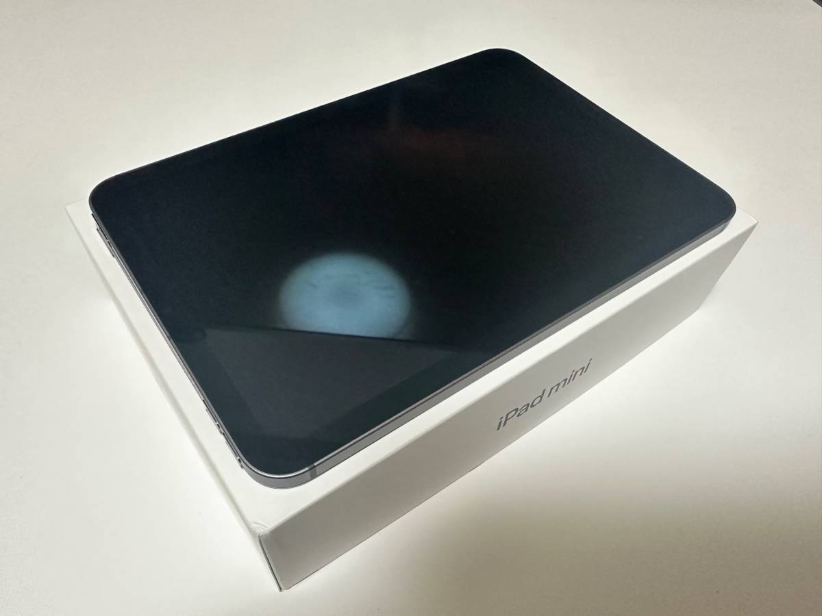 Apple iPad mini 第6世代Cellularモデル 256GB 超美品 バッテリー容量 