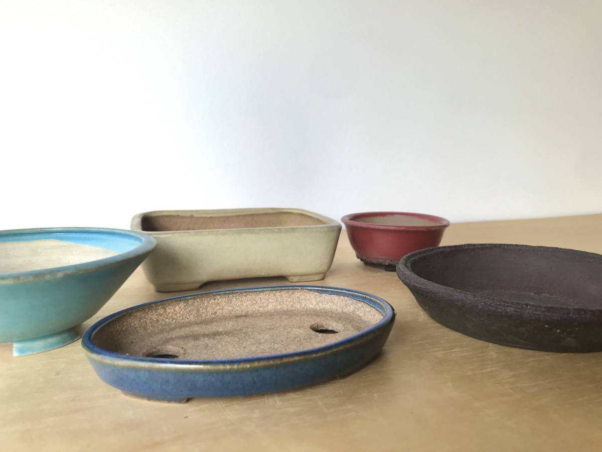 平安虹泉作 盆栽鉢 中古品 込めれ