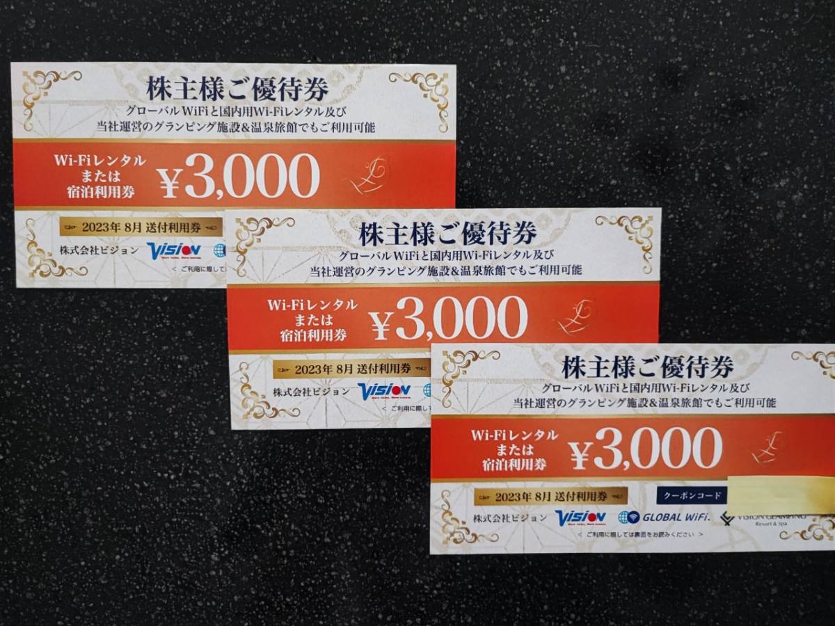 3000円３枚セット ビジョン株主優待券　有効期限2024年8月31日_1