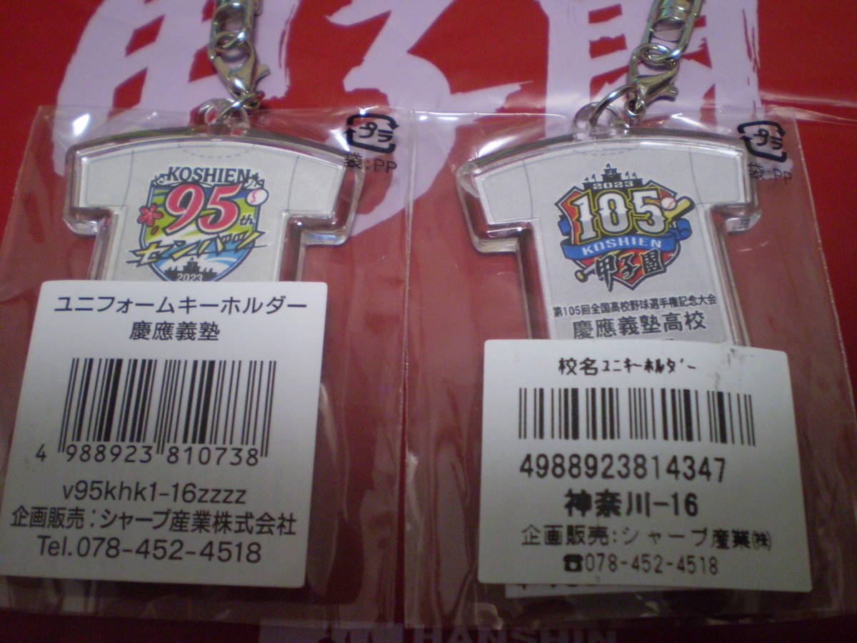 第95回選抜高校野球大会 | 準優勝記念ボール ケース付き 報徳学園 第 